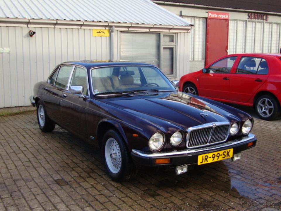Jaguar Jaguar